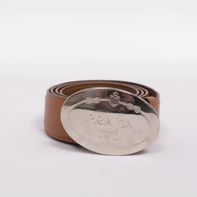 Belt (Brown) from Prada
