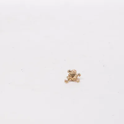 Broche (Goud) Onbekend materiaal