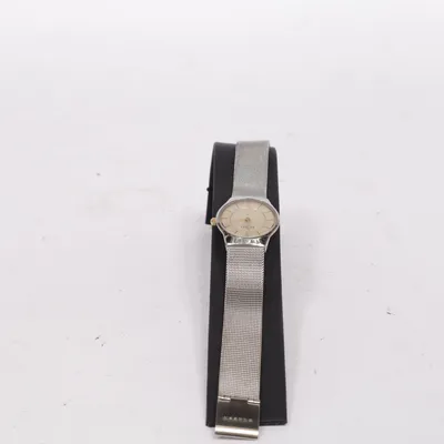 Montre (Argent) de Skagen