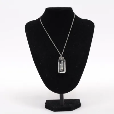 Halsband (Silverfärgad) från Wish Okänd metall