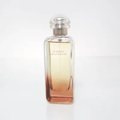 Eau de Toilette (Un Jardin Sur La Lagune) from Hermès