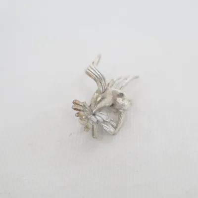 Broche (Argent) Métal inconnu