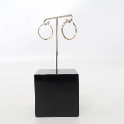 Earrings (Silver) Silver
