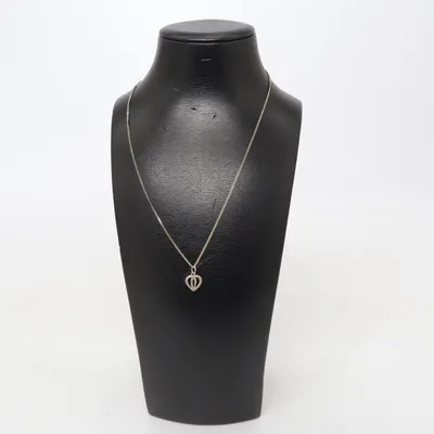 Necklace (Silver) Silver