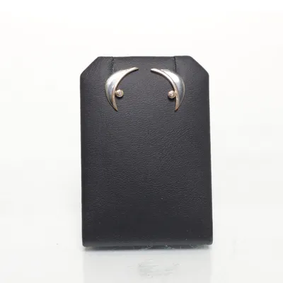 Oorbellen (Zilver) Zilver