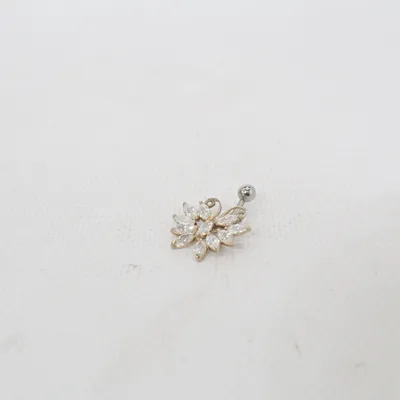 Bijoux de piercing (Argent) Argent