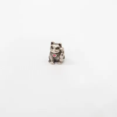 Charme (Argent) de Pandora Argent