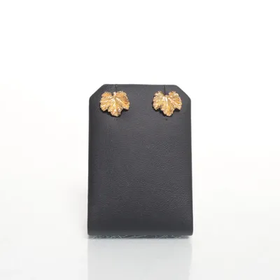 Oorbellen (Goud) Zilver