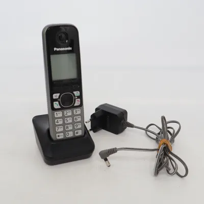 Phone (PNLC1030) from Panasonic