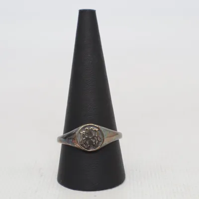 Ring (Silverfärgad) Silver