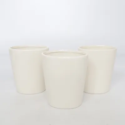 Tasse de brosse à dents (Blanc)