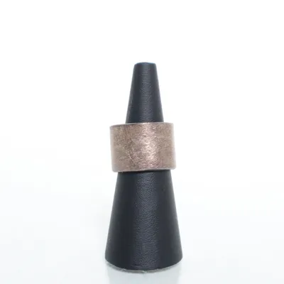 Ring (Silverfärgad) Silver