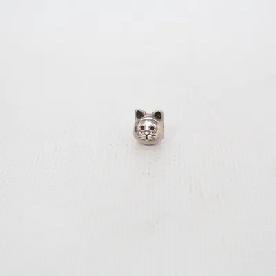 Charm (Silver) from Pandora Silver