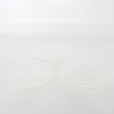 Couvercle  (Transparent) de Rosti