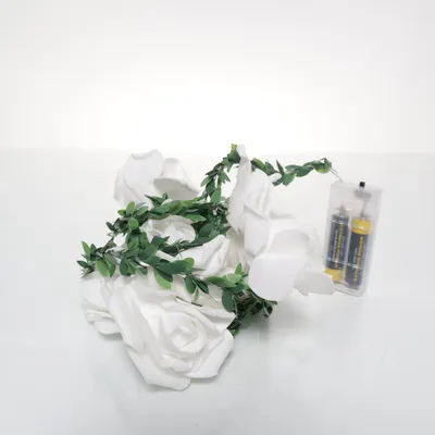 Ljusslinga (Vit, Grön)