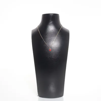 Ketting (Goud, Rood) Zilver