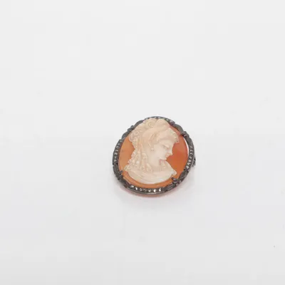 Broche (Zilver, Meerkleurig) Zilver