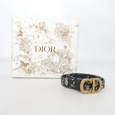 Riem (Zwart) van Dior