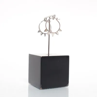 Örhängen (Silverfärgad) Silver
