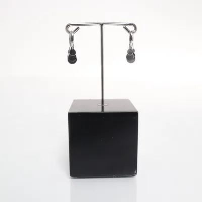 Oorbellen (Zilver) Zilver
