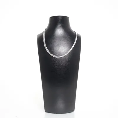 Necklace (Silver) Silver