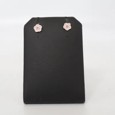 Ohrringe (Pink, Silber) Silber