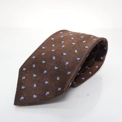 Slips (Brun, Blå) från Ermenegildo Zegna Silke