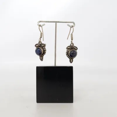 Oorbellen (Blauw, Zilver) Zilver