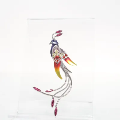 Broche (Zilver, Meerkleurig) van Swarovski Zilver