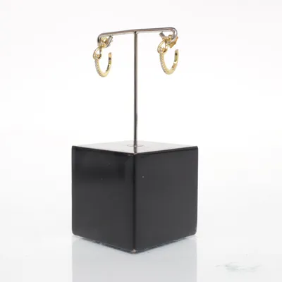 Örhängen (Guldfärgad, Transparent) Silver