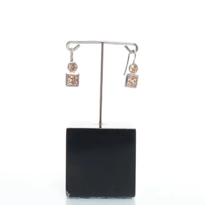 Earrings (Silver) Silver