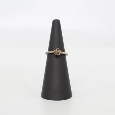 Ring (Silber) Silber