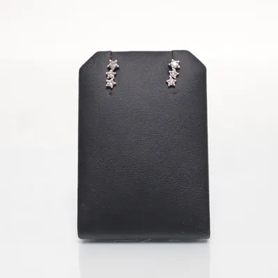 Oorbellen (Zilver) Zilver