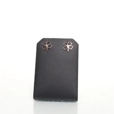 Oorbellen (Zilver) Zilver