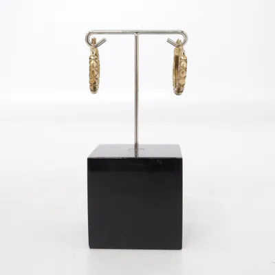 Boucles d'oreilles (Or) Argent