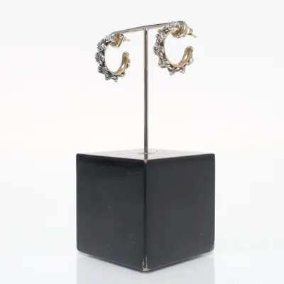 Oorbellen (Goud, Zilver) Zilver