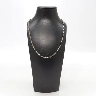 Necklace (Silver) Silver