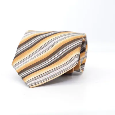 Slips (Brun, Flerfärgad) från Ermenegildo Zegna Silke