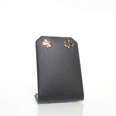 Oorbellen (Goud) Zilver