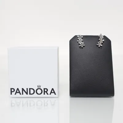 Earrings (Silver) from Pandora Silver