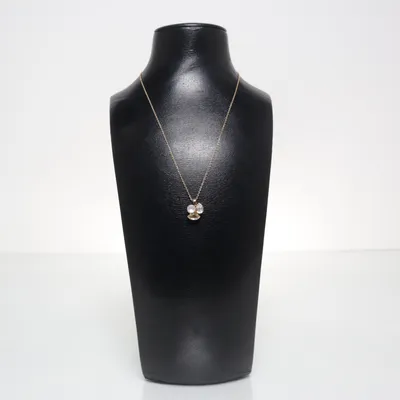 Halsband (Guldfärgad) Okänd metall, Rostfritt stål