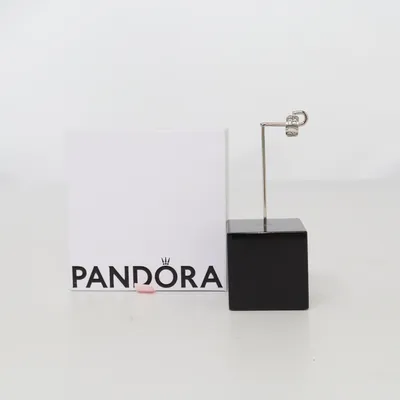 Charme (Argent) de Pandora Argent