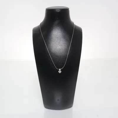 Halsband (Silverfärgad) från Fossil Silver