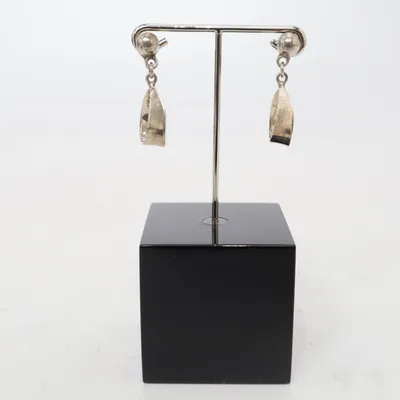 Earrings (Silver) Silver
