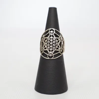 Ring (Zilver) Zilver