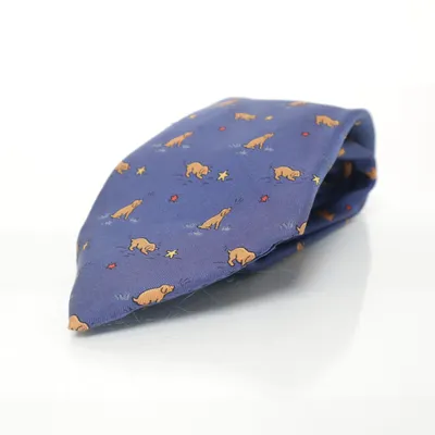 Slips (Blå, Flerfarvet) fra Hermès Silke