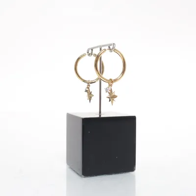 Oorbellen (Goud) Zilver