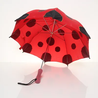 Umbrella from Samsonite