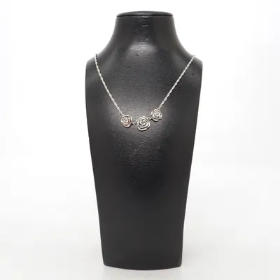 Necklace (Silver) Silver