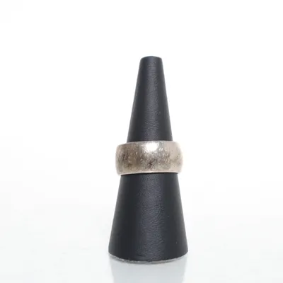 Ring (Silverfärgad) Silver